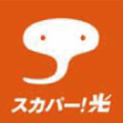 �X�J�p�[�I��